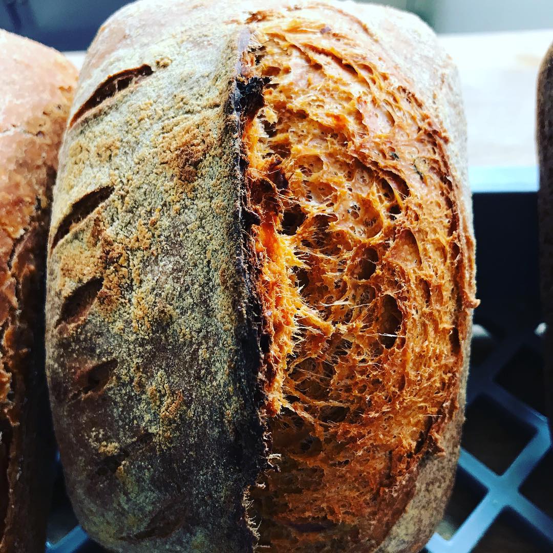 Introduction to Sourdough Baking