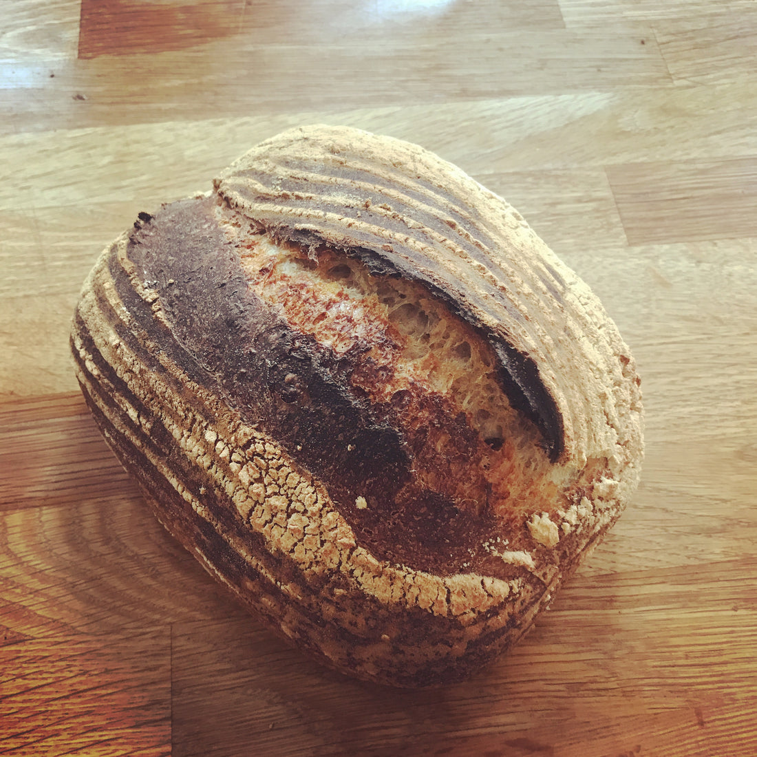 Bake update Friday 24th August